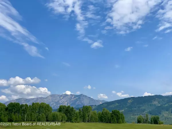 Alpine, WY 83128,193 CARIBOU FOREST Drive