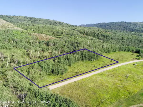 Alta, WY 83414,175 PERIMETER Drive