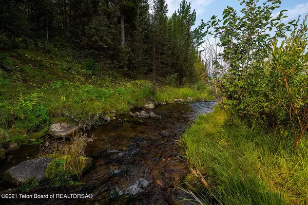 Wayan, ID 83285,LANES CREEK RD