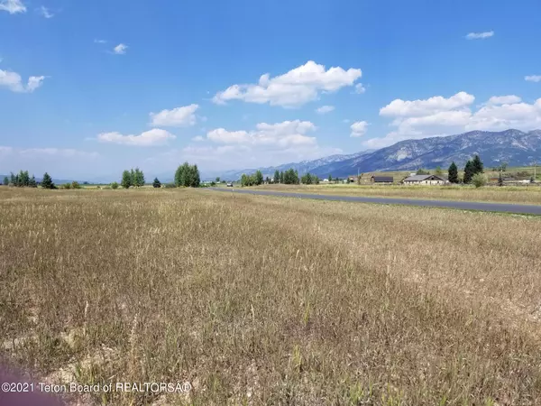 Thayne, WY 83127,24 PHEASANT TAIL