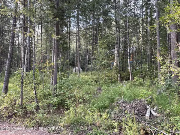 Alpine, WY 83128,TBD PINE CREST CIRCLE