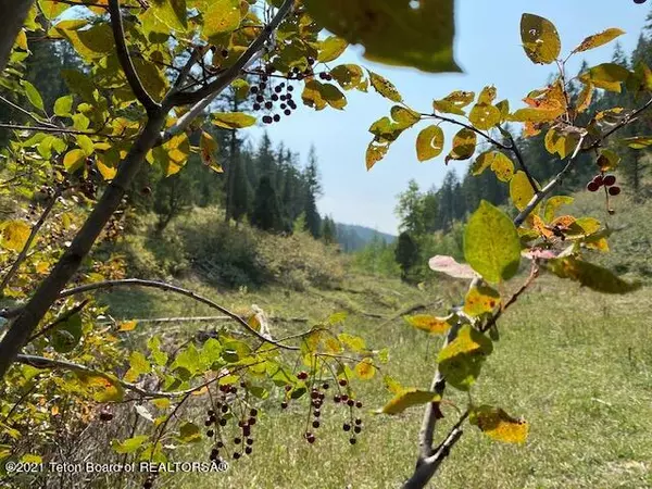 Fairview, WY 83119,STONEGATE DRIVE