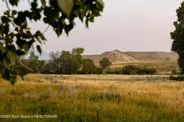 Buffalo, WY 99999,88 MUDDY CREEK Road