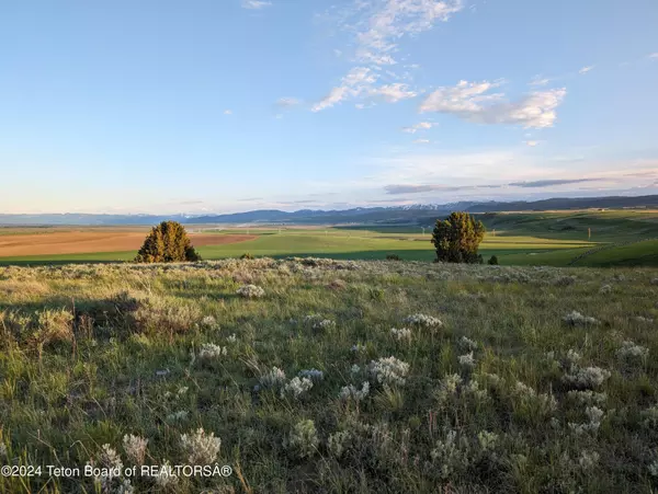 Tetonia, ID 83452,9035 RIVER RIM RANCH