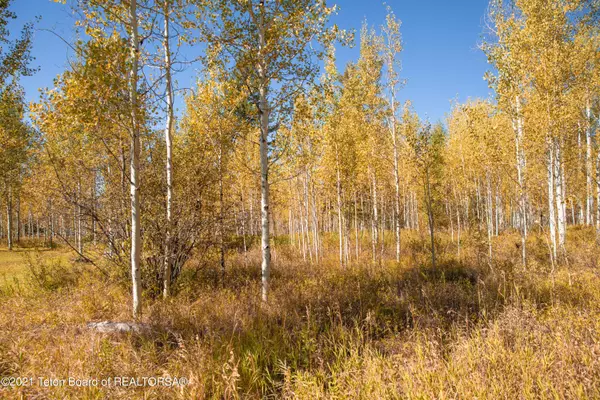 Star Valley Ranch, WY 83127,LOT 93 VISTA CT