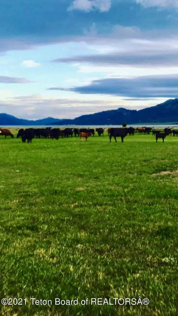 Alpine, WY 83128,1441 CR100 Road