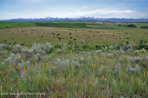 ARNOLD Road, Felt, ID 83424