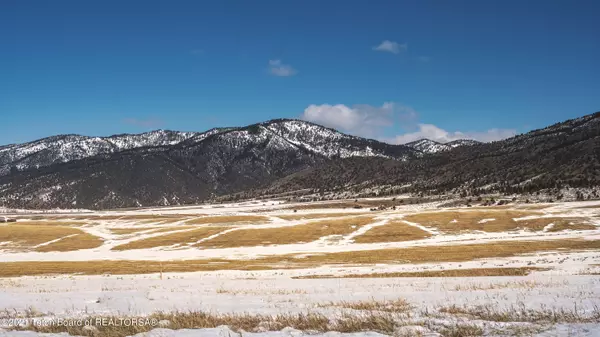 Irwin, ID 83428,BLUE GROUSE