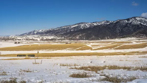 Irwin, ID 83428,BLUE GROUSE