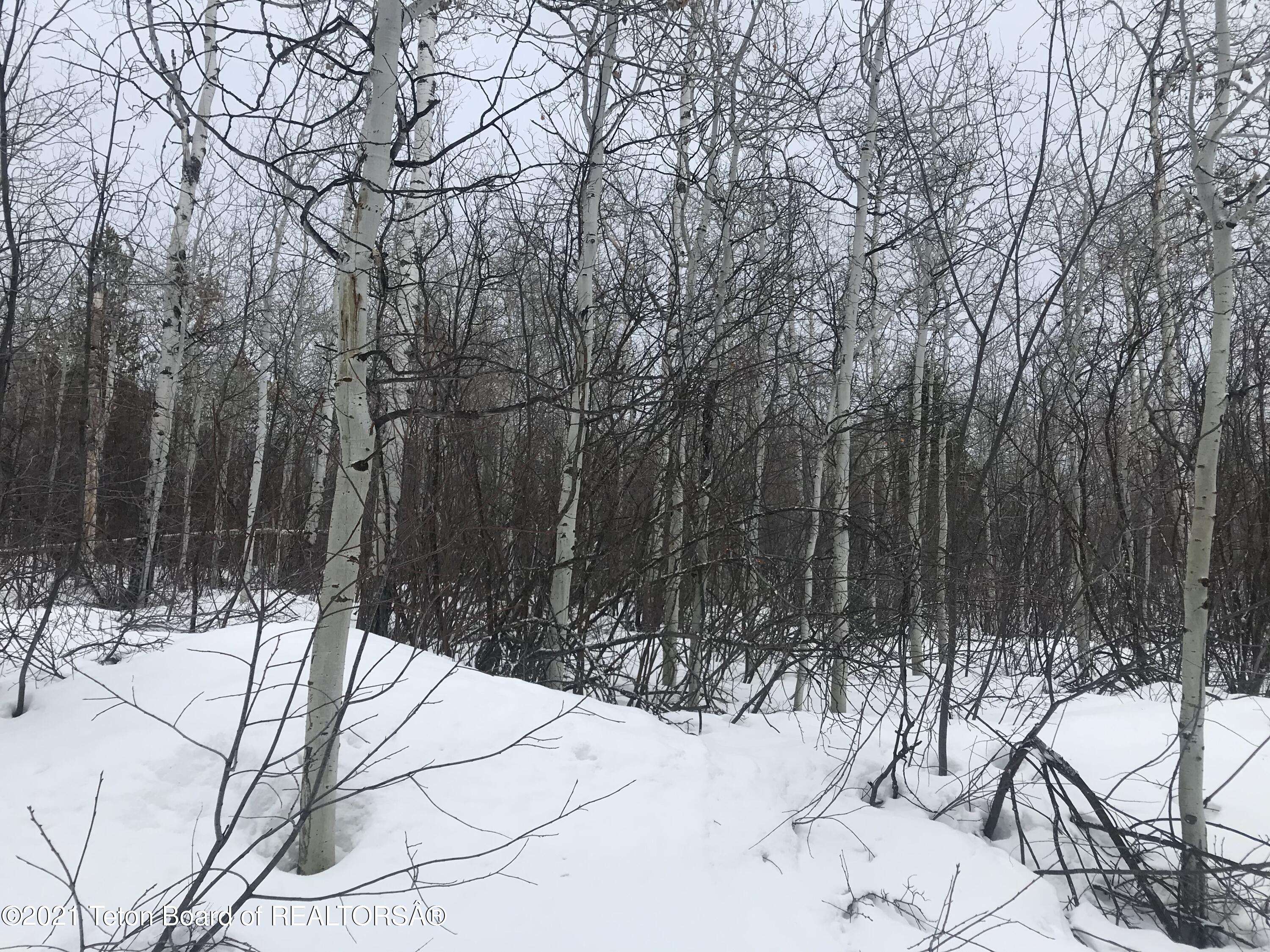 Thayne, WY 83127,LOT 50 PRATER CANYON