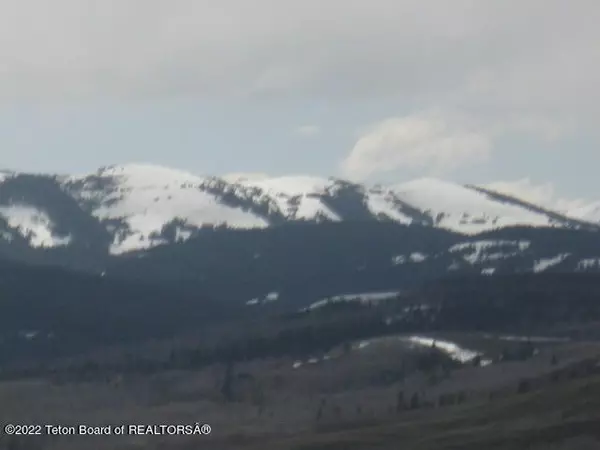 Daniel, WY 83115,4 BEAVER RIDGE