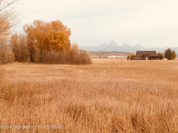 TBD N 5000, Felt, ID 83424