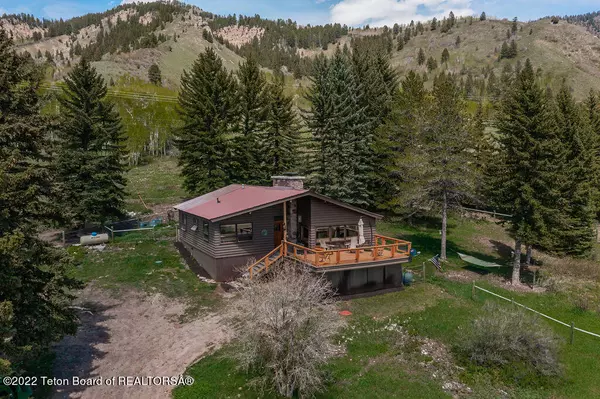 73 CHOKECHERRY LANE, Irwin, ID 83428