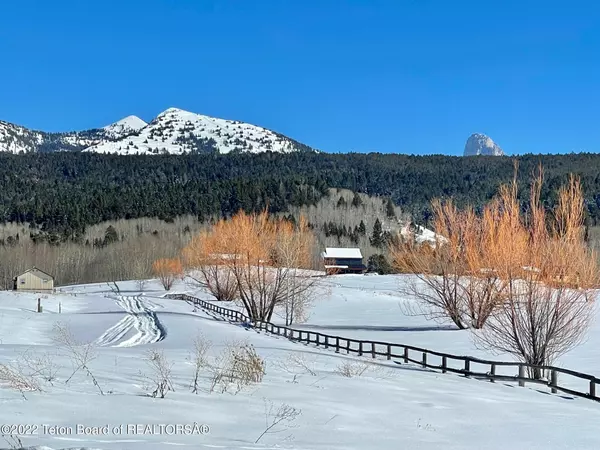 155 E PAINTED ROCK, Alta, WY 83414