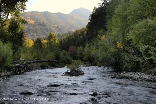 Irwin, ID 83428,L28 BLK1 CUTTHROAT RUN