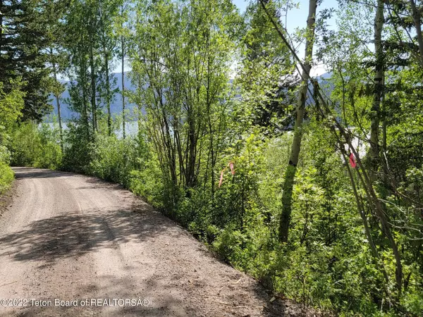 Irwin, ID 83428,391 LAKEVIEW Drive