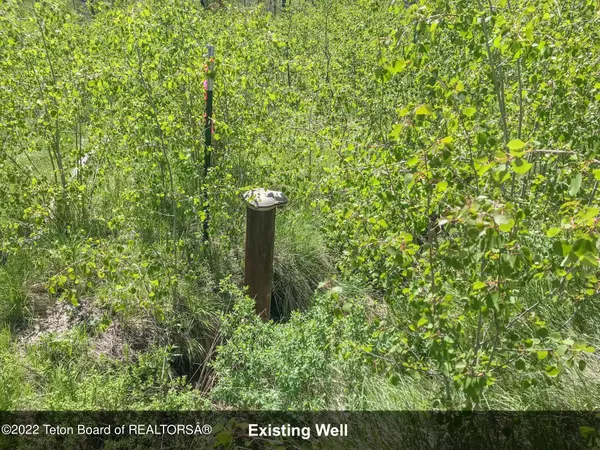 Bondurant, WY 82922,178 MOUNTAIN VIEW Drive