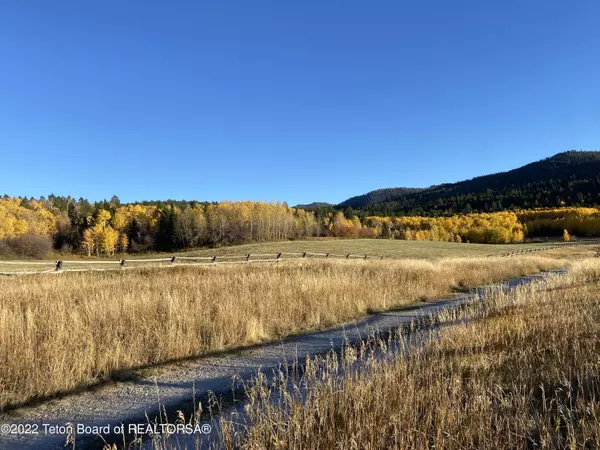 Victor, ID 83455,47 TARGHEE Trail