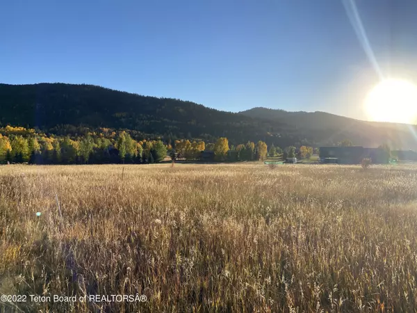 Victor, ID 83455,47 TARGHEE Trail