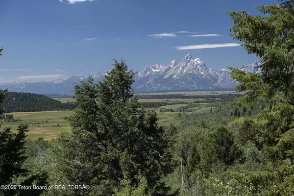 15245 E TETON WILDERNESS Drive, Moran, WY 83013