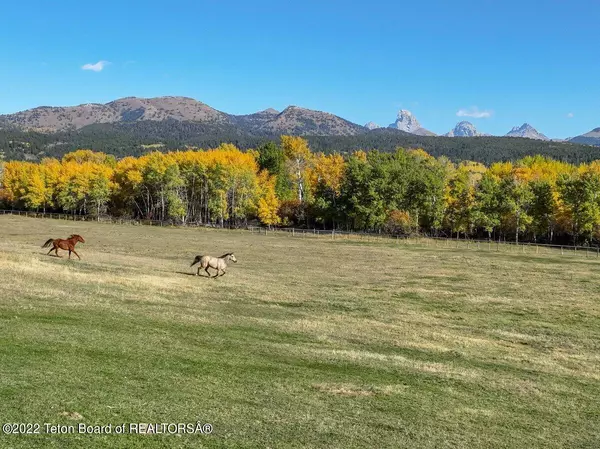 Alta, WY 83414,2040 N STATELINE Road