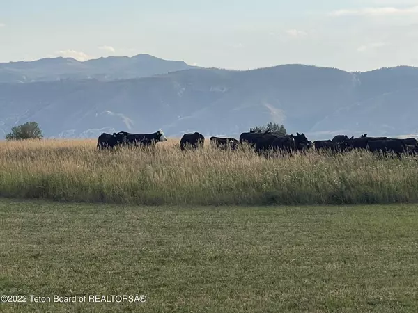 Sheridan, WY 82801,436 WY-335