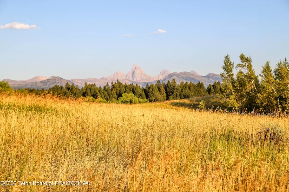 Tetonia, ID 83452,10677 SUNLIGHT Circle