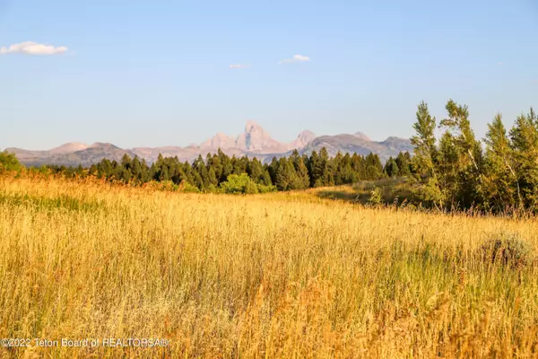 10677 SUNLIGHT Circle, Tetonia, ID 83452