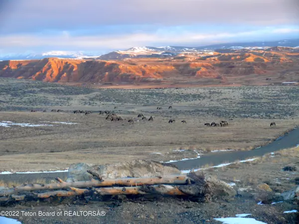 Dubois, WY 82513,FLYING FROG LANE