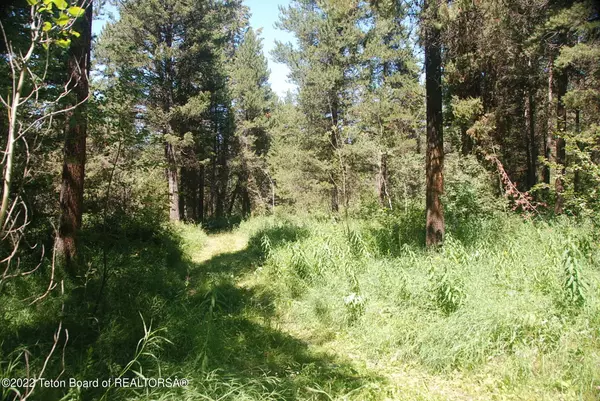 Tetonia, ID 83452,LOT 1&2 WOODLAND HILLS SUB