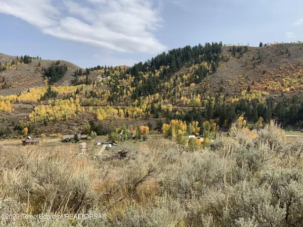 Jackson, WY 83001,9055 US-89