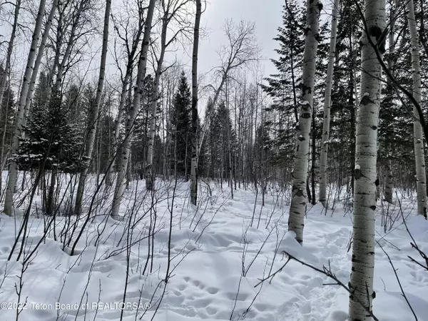 L32 N FOREST Drive, Star Valley Ranch, WY 83127