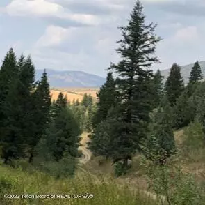 Irwin, ID 83428,L39B4 CUTTHROAT RUN