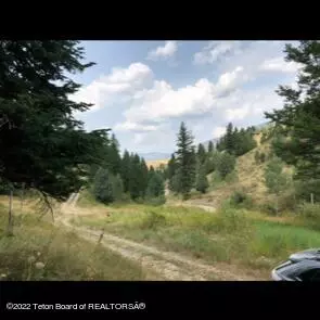 Irwin, ID 83428,L39B4 CUTTHROAT RUN