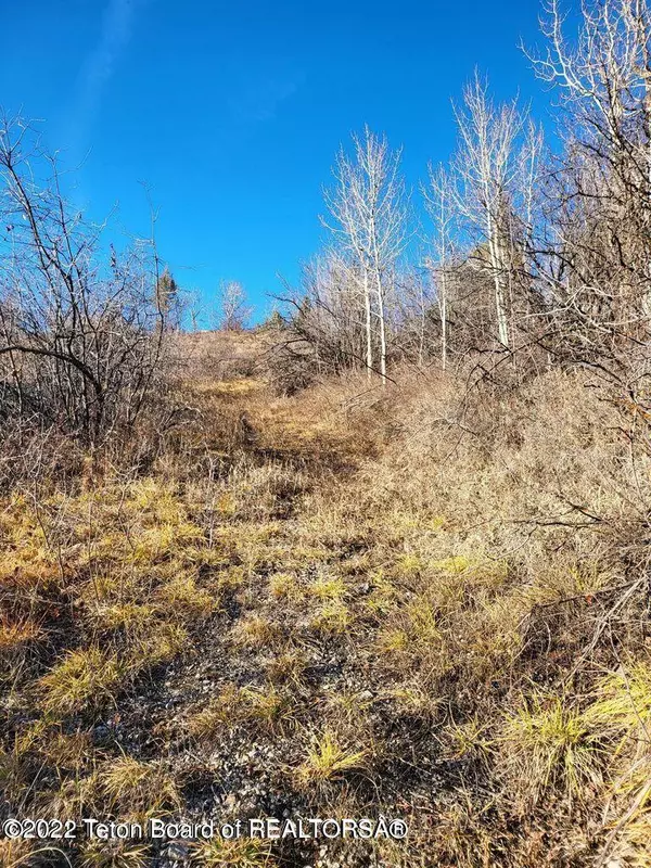 Bedford, WY 83112,LOT 62 STRAWBERRY CREEK RD