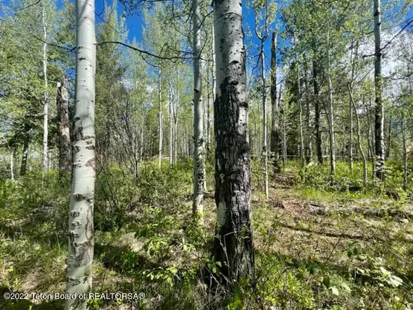Alpine, WY 83128,LOT 10 ASPEN RIDGE TRAIL