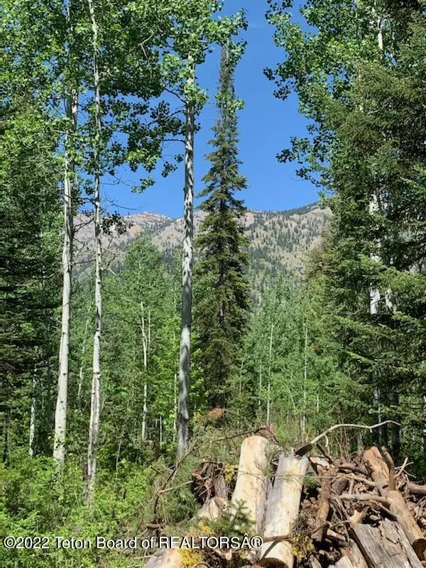LOT 10 ASPEN RIDGE TRAIL, Alpine, WY 83128