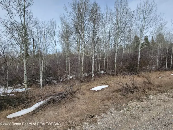 Alpine, WY 83128,ASPEN HILLS DRIVE