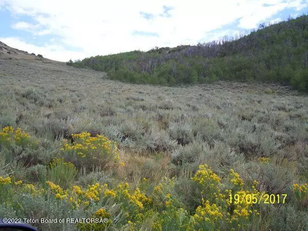 Merna, WY 83113,ELK HORN ROAD
