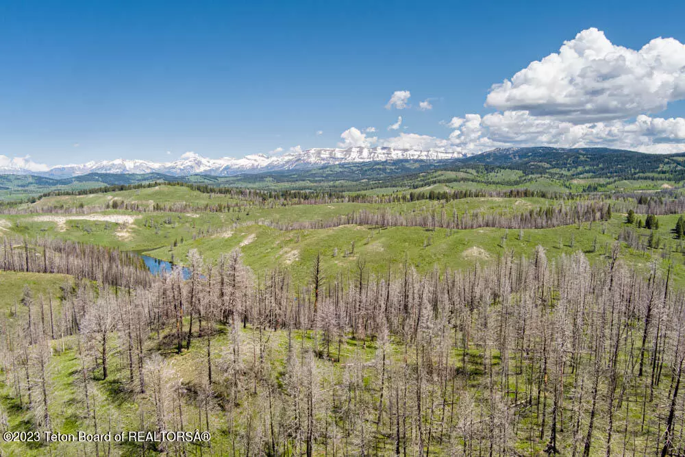 Bondurant, WY 82922,FOREST DRIVE