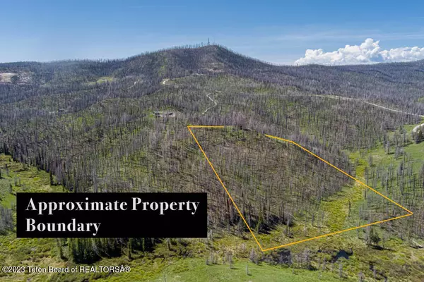 Bondurant, WY 82922,FOREST DRIVE