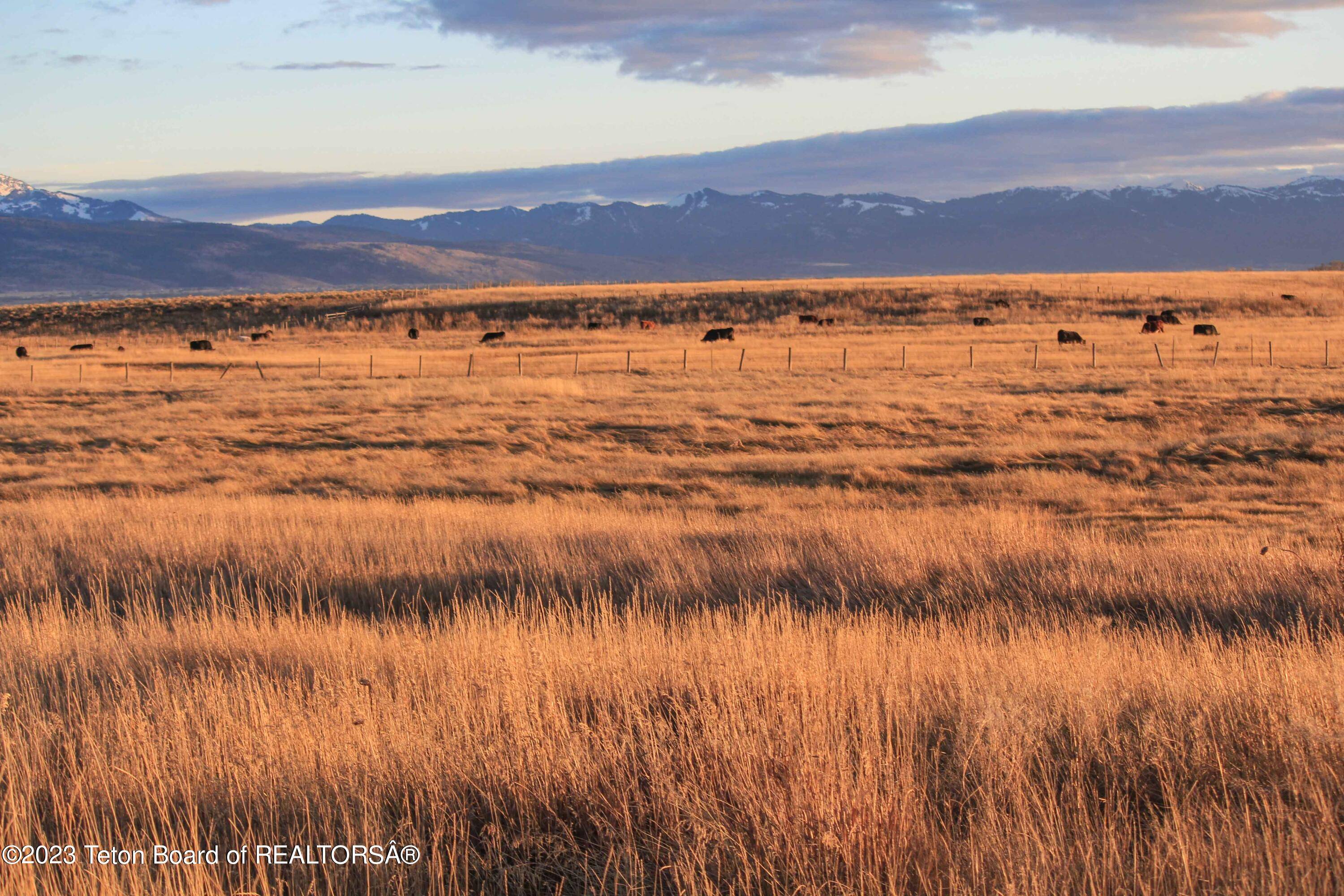 Tetonia, ID 83452,2843 SAGE CREEK Drive