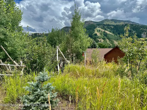 Alpine, WY 83128,379 WOODEN SPUR DR