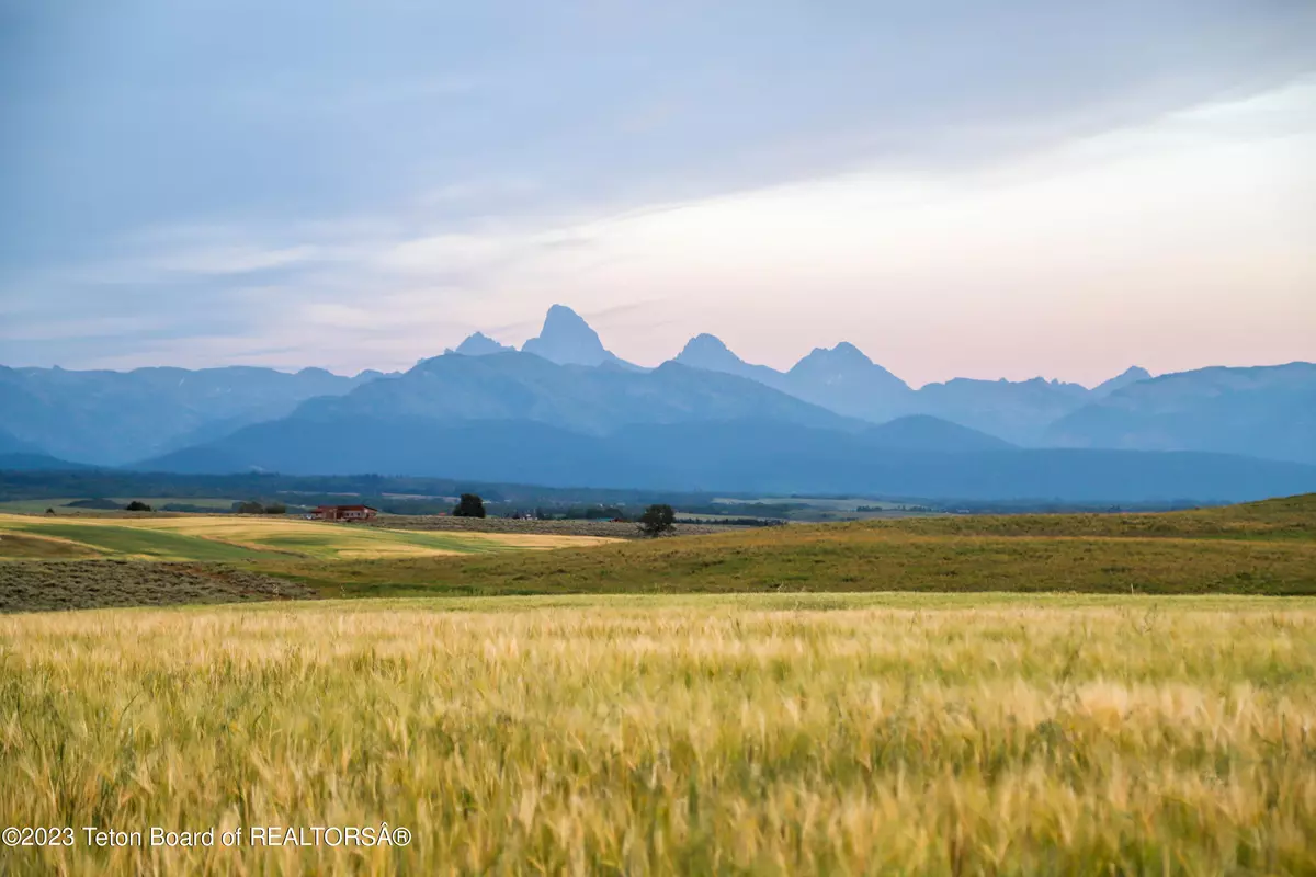 Tetonia, ID 83452,2191 RISING SAGE Road