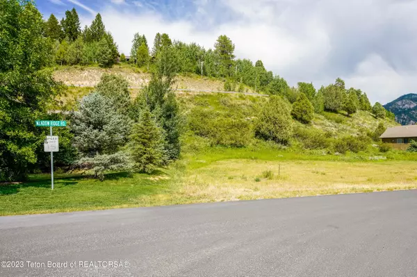 LOT 19, Alpine, WY 83128