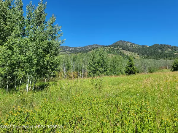 9091 MUDDY STRING, Thayne, WY 83127