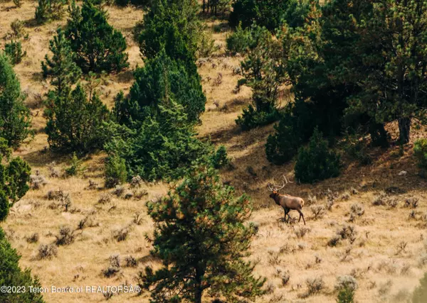 Gillete, WY 82718,BLACK THUNDER RANCH CLARETON Highway