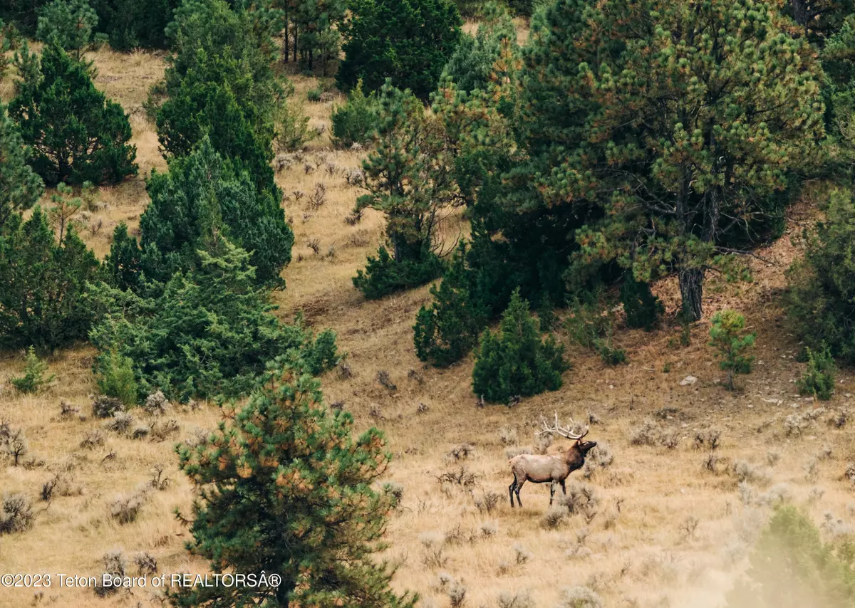 Gillete, WY 82718,BLACK THUNDER RANCH CLARETON Highway