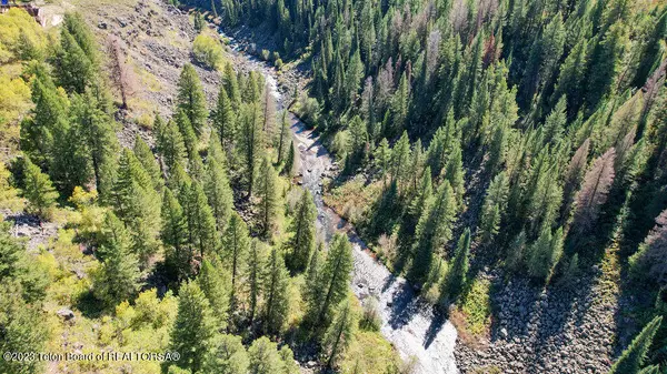 Ashton, ID 83420,1593 SHADOW RUN