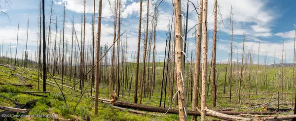 Bondurant, WY 82922,GROS VENTRE Drive